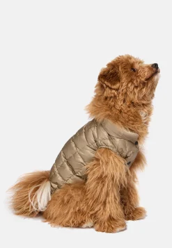 Petwear-Boggi Milano Bomber Pour Chien En Tissu Technique En Plume D'Oie Beige